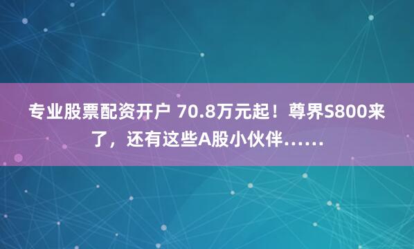 专业股票配资开户 70.8万元起！尊界S800来了，还有这些A股小伙伴……
