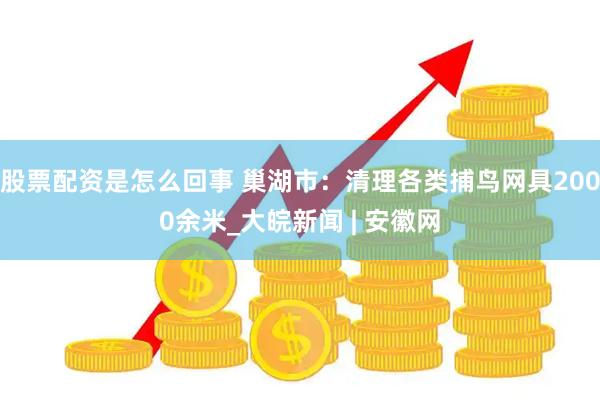 股票配资是怎么回事 巢湖市：清理各类捕鸟网具2000余米_大皖新闻 | 安徽网
